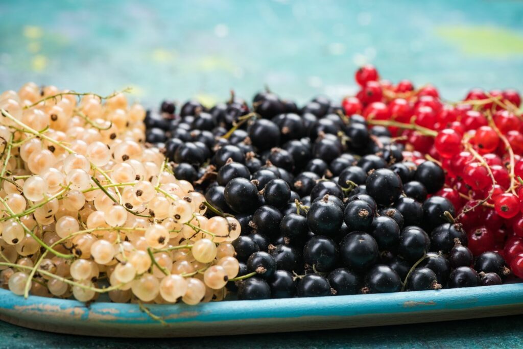 The Health Benefits of Currants You Need to Know