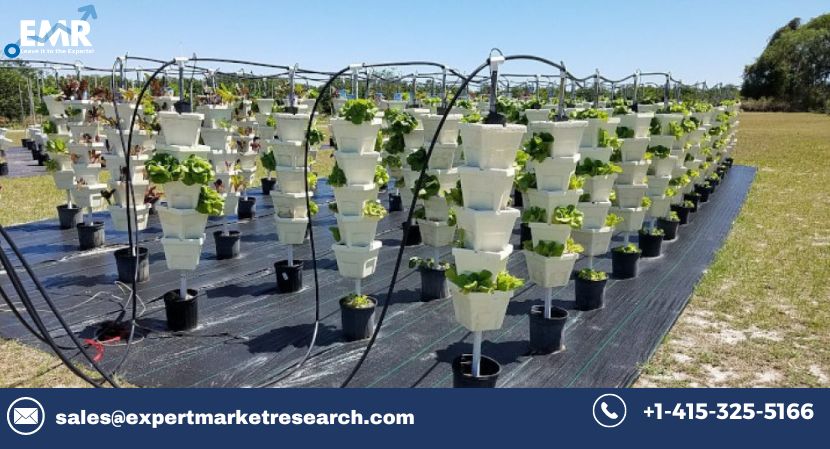 Global Hydroponics Market to be Driven by the Rapidly Increasing Global Population in the Forecast Period of 2023-2028
