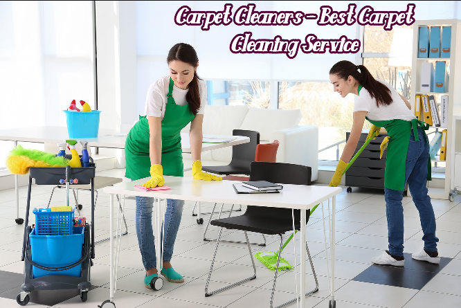 Carpet Cleaners – Best Carpet Cleaning Service