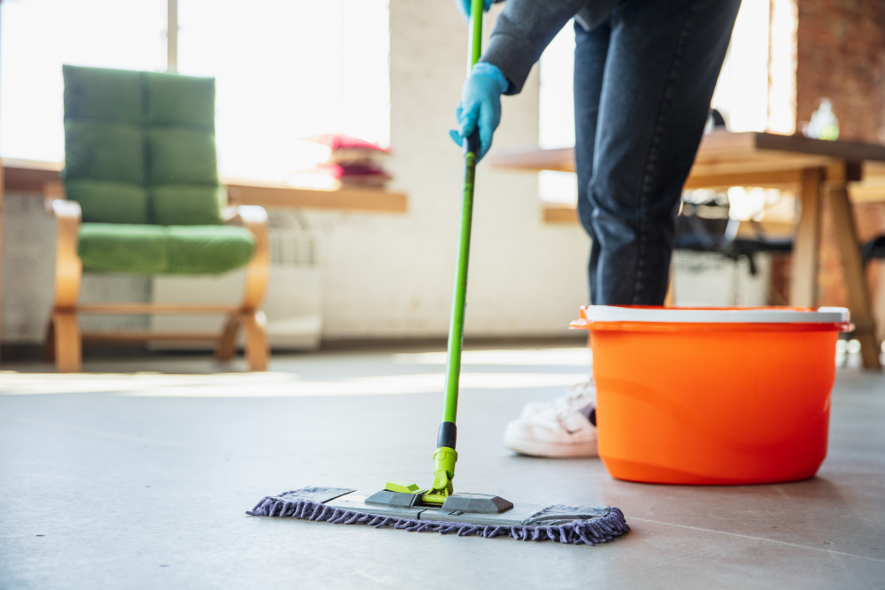 From Dirty to Dazzling: Deep Cleaners for a Fresh and Revitalized Home