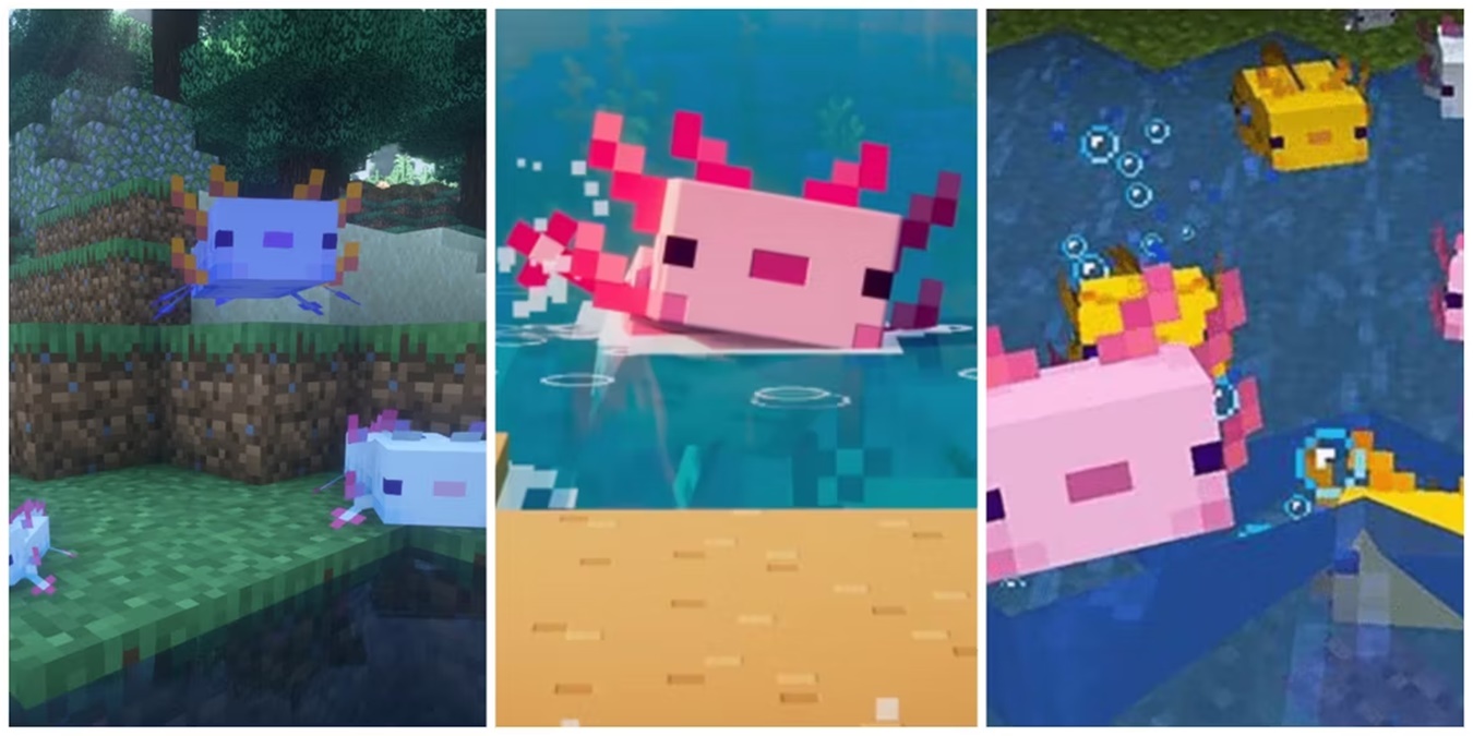 Minecraft: Axolotls Facts You Need To Know