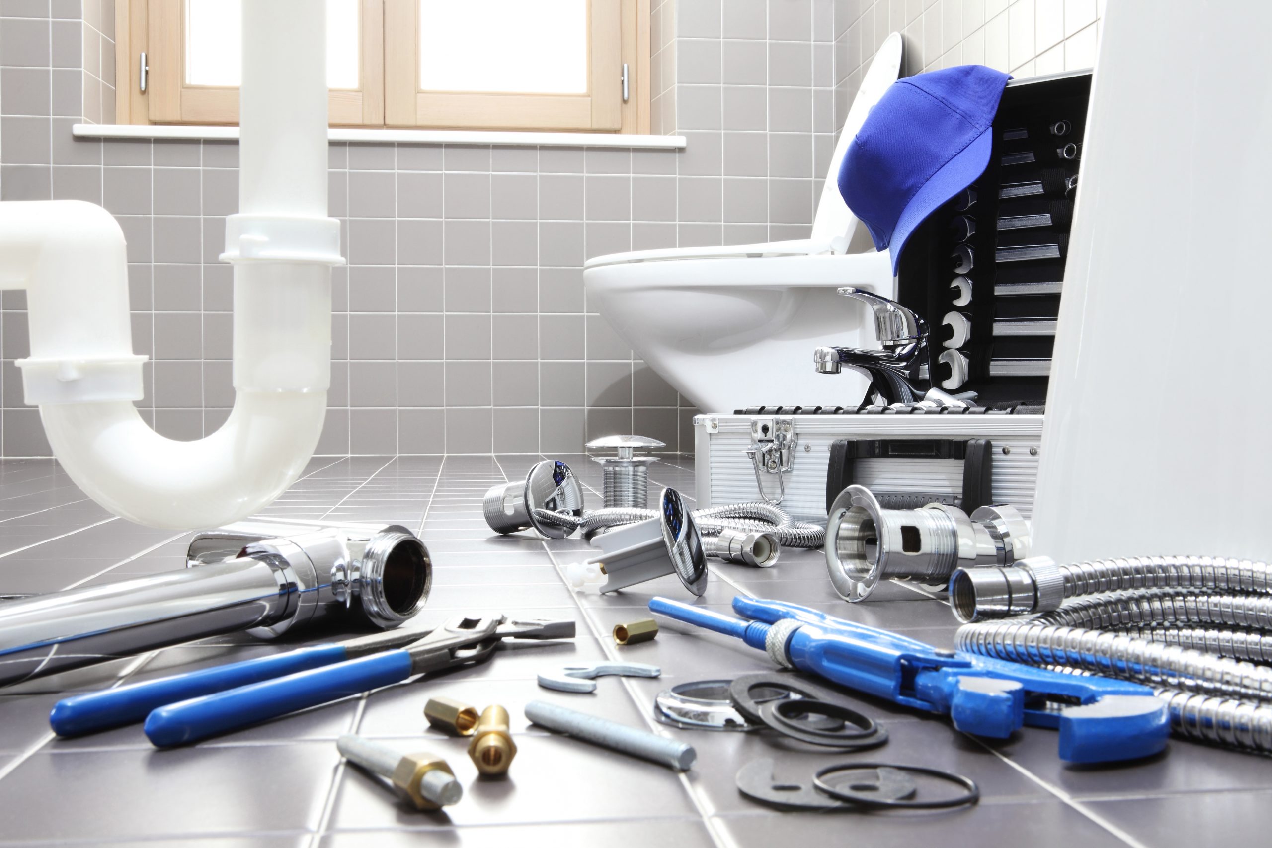 10 Signs You Need Professional Plumbing Services