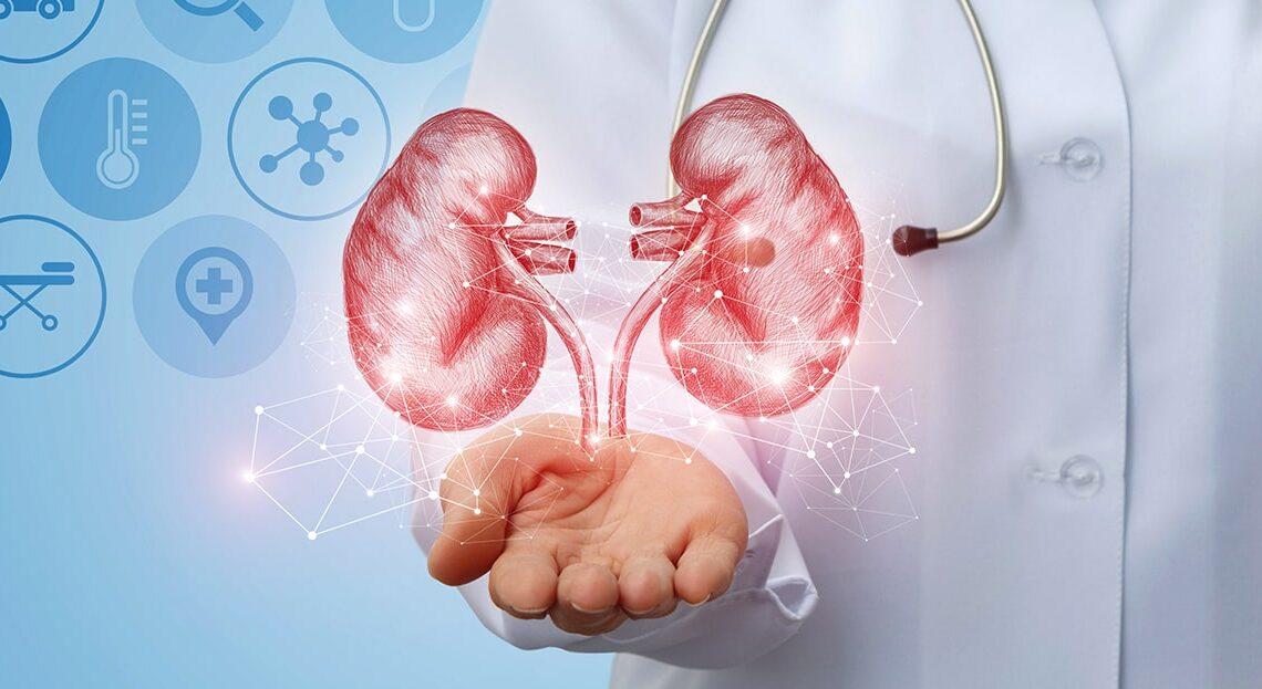 Supporting Kidney Function and Quality of Life