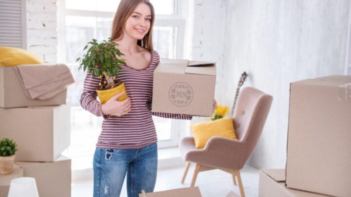12 Essential DIY Tips for a Delightful House Shifting Experience