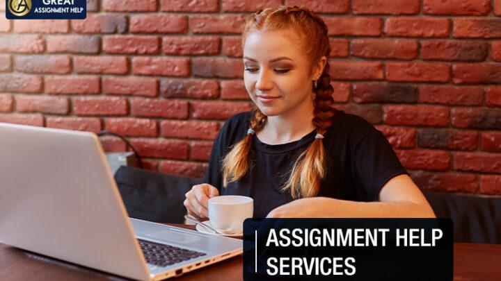 Get The Best Assignment Help Online