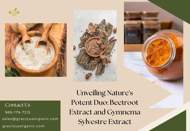 Unveiling Nature’s Potent Duo: Beetroot Extract and Gymnema Sylvestre Extract