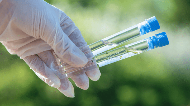 Behind the Scenes: Understanding the Process of Water Testing in Gray