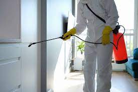  Common Pests in Abu Dhabi and Effective Pest Control Strategies