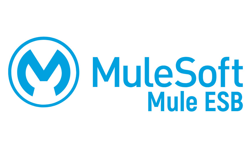 MuleSoft Online Training Viswa Online Trainings In India
