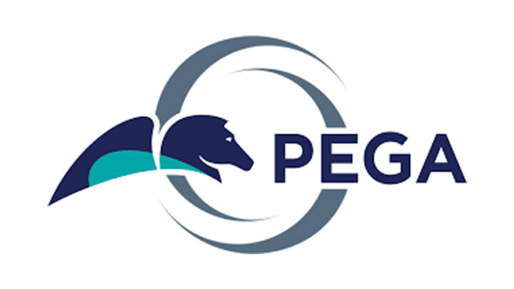 PEGA 8.1 (CSA & CSSA)Online Training Course From Hyderabad