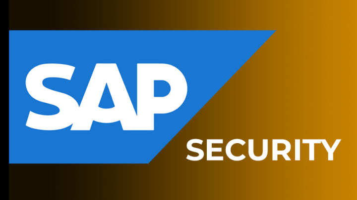 sap security Online Training Certification Course Hyderabad
