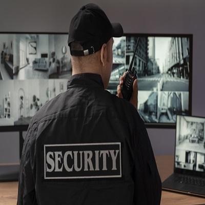 Safeguarding Professional Security Services in the UK